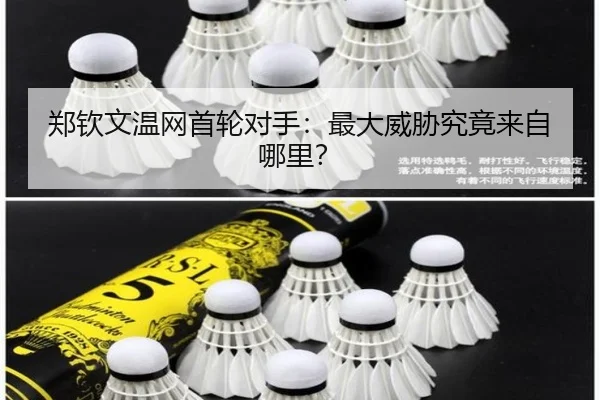 郑钦文温网首轮对手：最大威胁究竟来自哪里？
